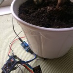 Krukväxt sensor Arduino